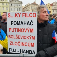 Митинг в Брюсселе в поддержку Украины