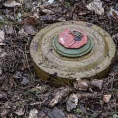 Карта найбільш замінованих районів Київщини