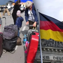 Германия приняла новое решение относительно беженцев