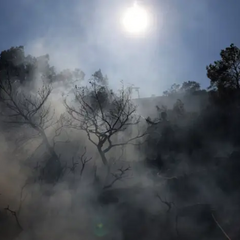 Пожежа в Греції: евакуація тисяч людей