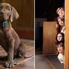 Логотип Netflix і напис Scooby-Doo Origins