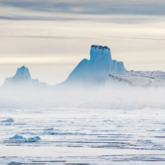 Never before have so many icebergs been released
