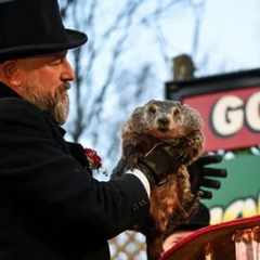 Брат Тимка День Бабака американський передбачення 2025