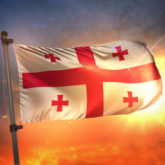 Грузия помогает беженцам из Украины