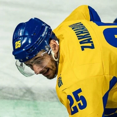 Бомбардир збірної України підсумки чемпіонату світу з хокею