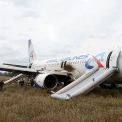 Intelligence named the industry in Russia