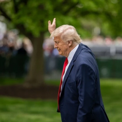 Фото будівництва бального залу Трампа