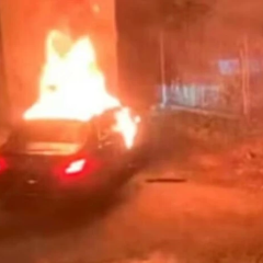 Затримані підозрювані в убивстві у Відні