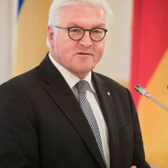 Steinmeier criticizes US arguments on Iran