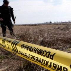 Очищення територій в Україні