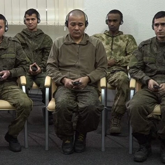 Государства, присоединившиеся к оккупации России