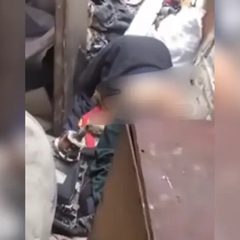 Докази з ґвалтування собаки вилучено