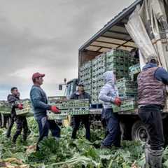 Будинки залишаються порожніми: масова міграція до ЄС