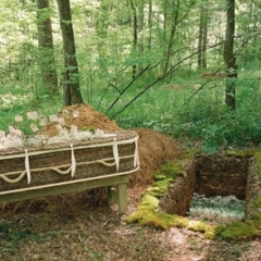 Тренд на зелені поховання в США