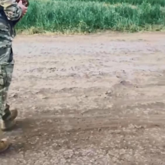 Фазан из антидроновой сетки на Донеччині