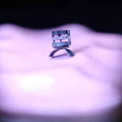 Seed-sized surgical robot