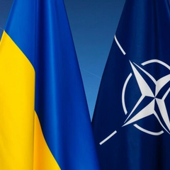 Флаги Франции и Украины вместе