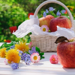 Apple Spas 2025: traditions and rituals