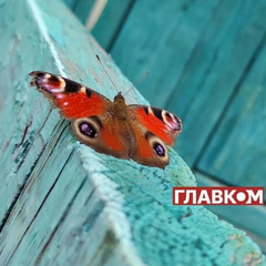 Без опадів: погода на 27 серпня