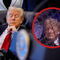 Трамп уснул на турнире UFC
