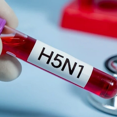Вірус нової пандемії може викликати