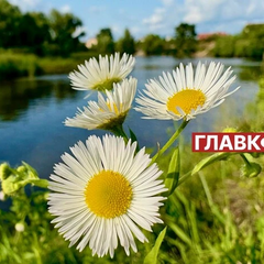 Когда начнется бабье лето: синоптики назвали даты