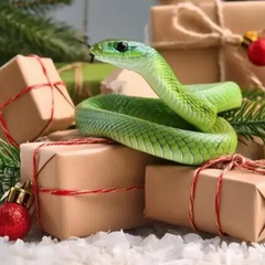 Кольорова палітра для Нового 2025 року