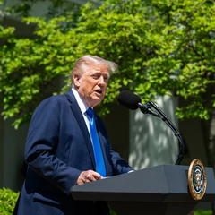 Трамп и Путин в Стамбуле: переговоры