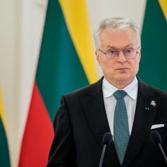 Президент Литвы на переговорах