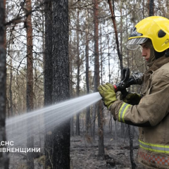 Пожежа на 90 га в Рівненській області