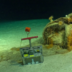 Barrels of radioactive waste at the bottom of the Atlantic Ocean