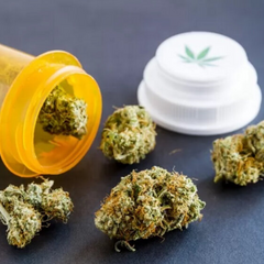 Проверка рецептов на каннабис в Украине