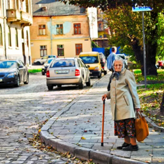 Украинские чиновники в расцвете войны