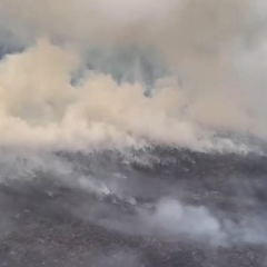 Пожежі загрожують наскельним малюнкам в Індонезії