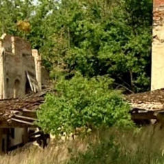 Старе польське село Кам'янець на Ополлі