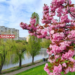 Прогноз погоды на 29 апреля