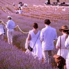 Заклик іспанського міста не відвідувати у вихідні