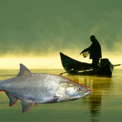 Трофейна білизна у вудочці