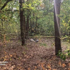 Border guard found dead in Volyn