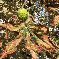 Погода на 20 вересня 2025