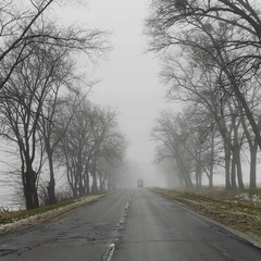 Туман над низинами: погода 30 грудня