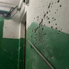 Вибух гранати у під’їзді багатоповерхівки