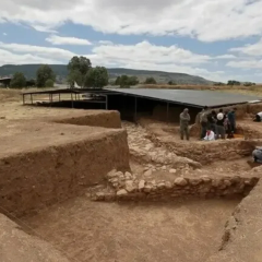 Animal sacrificial remains in a Hittite structure