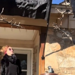 Чорні прапори підвішені до будинків