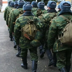 Студенти, які підтримують військові дії