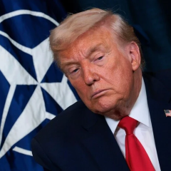 Трамп отменил тарифы для Европы и Гренландии: влияние на Украину