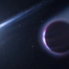 Planet near white dwarf