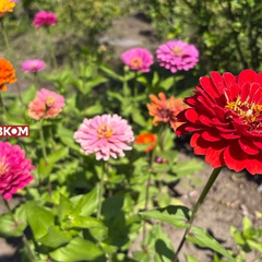 Хмари та дощ 4 вересня