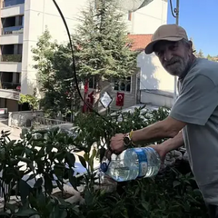 Small town with 200 plants