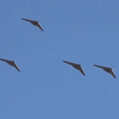 Russian drones attack the energy infrastructure of Lviv region